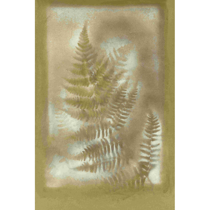 Ombres et fougères IV 2855494, H 30 po x l 20 po