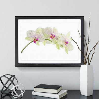 Orchid Flowers Vol.1 - Picture Frame Painting