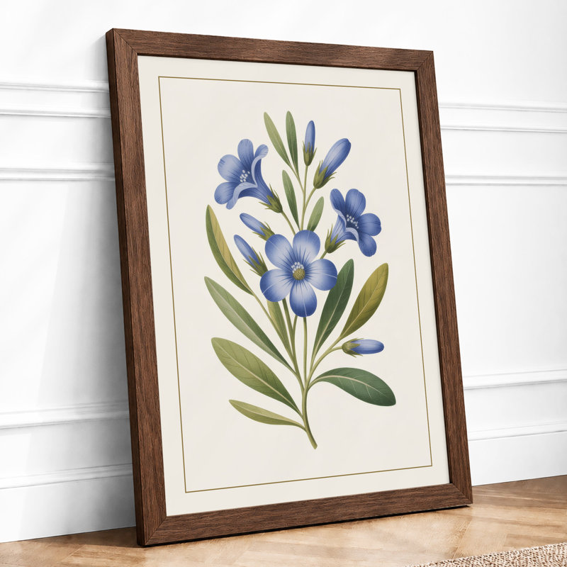 Periwinkle Study Botanical - Framed Print, A1 - 84.1 x 59.4 cm, Walnut