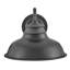 Hinkley Wallace Gooseneck Barn Light-1432915431
