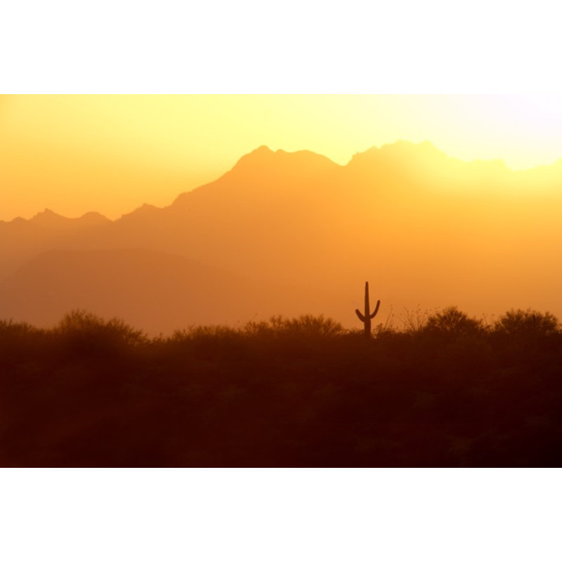 Parc national de Saguaro, Arizona 127836, Cadre simple érable érable