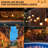 Herodias 48FT 24-Bulb Outdoor Standard String Light Shatterproof Linkable