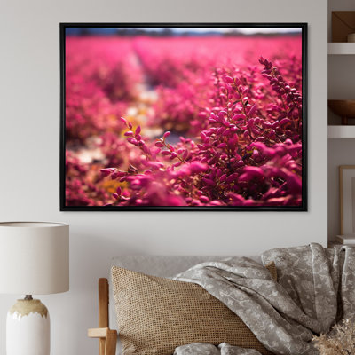 " Fushia Blooming Abstraction I "