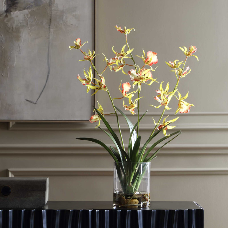 Orchidée araignée dans un vase en verre