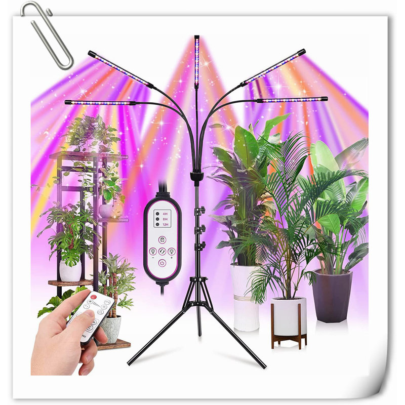 5 lumières DEL pour plantes réglables à 5 têtes, lampe à spectre complet avec minuterie pour plantes d'intérieur, lumière de croissance blanche chaude pour diverses plantes