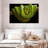 Green Boa Constrictor-107922365