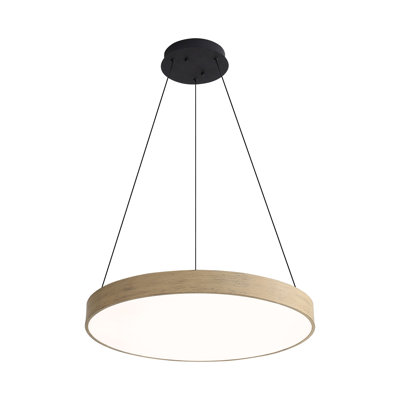 Anello 24" LED Pendant  with No Shade