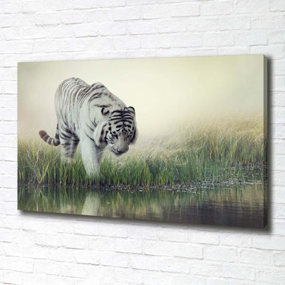 White Tiger - Wrapped Canvas Print