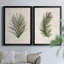 Palm Botanical I - ensemble de 2 photographies sur toile-1425392424-1425392431-1350425248