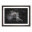 British Shorthair Cat In The Shadows Paint Splash - Picture Frame Graphic Art-56867095-56867097