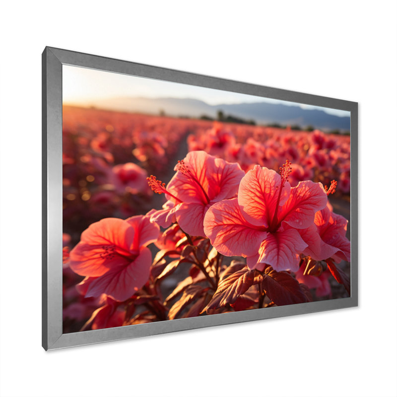 Hibiscus Field Vue aérienne, impression sur toile, H 34 po x l 44 po x P 1,5 po, Cadre photo argenté