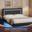 Alber Floating Bed Frame with LED Lights, Upholstered Platform Bed with Diamond Tufted Headboard, No Box Spring Needed, Noise Free, Easy Assembly-1299656579-1299656576