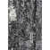 Premium Machine Washable Prisco Black Rug
