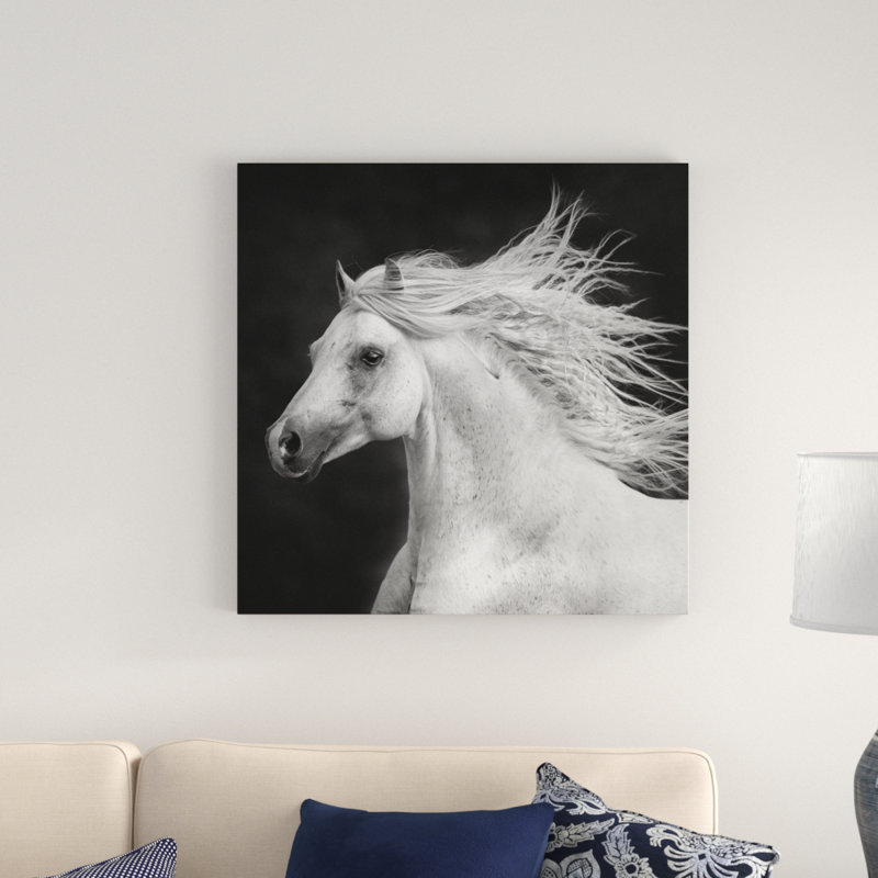 « b&w à cheval iv », reproduction d’impression sur toile tendue