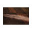 Wool Striped Area Rug in Brown