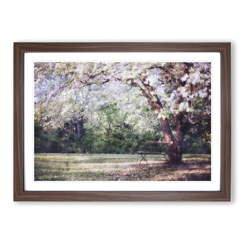 Blossom Tree in a Park - Picture Frame Painting, 48cm H x 65cm W x 2cm D, Walnut Framed