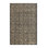 Abstract Indoor Rug