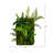 24'' Faux Foliage Plant