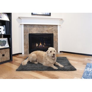 Soak Stopper Absorbent Indoor Chenille Doormat, Muddy Dog Washable