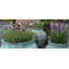 Braxton Fiberglass Planter-1532293462