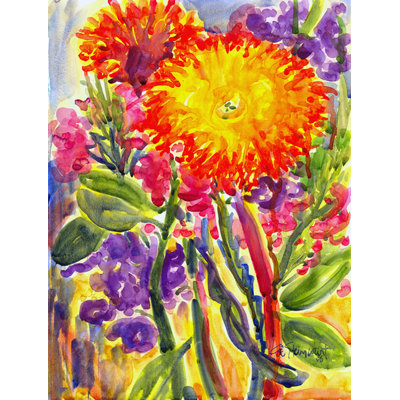Drapeau de maison Nicosia Aster