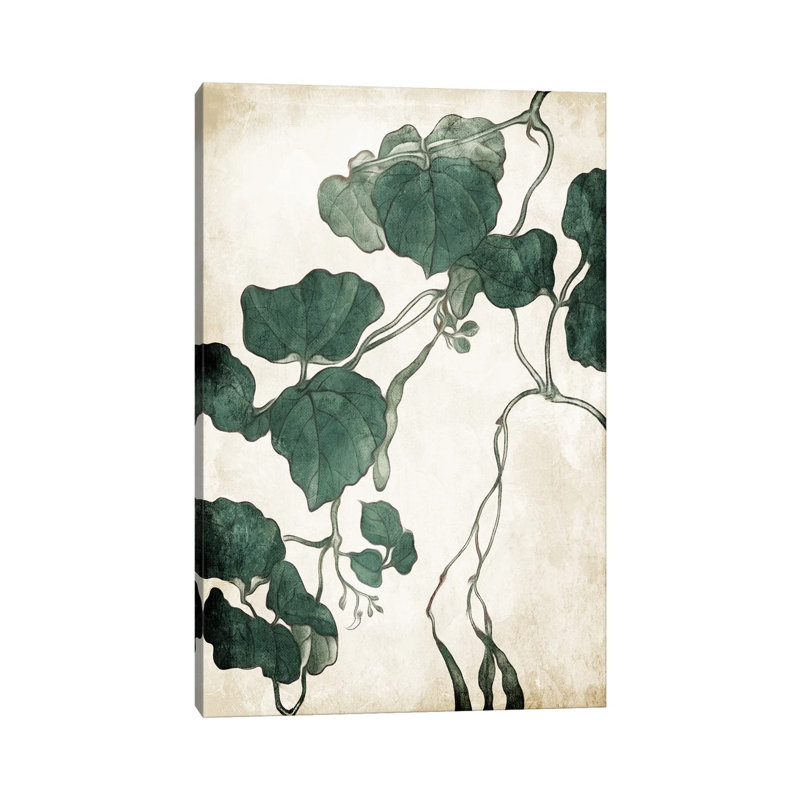 Hanging Leaves III by Milli Villa - Wrapped Canvas Print, 30.48cm H x 20.32cm W x 1.91cm D