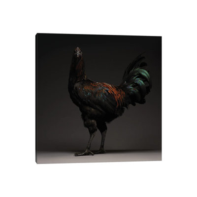 Liege Fighter by CHICken - Wrapped Canvas Print