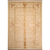 Wool Oriental Area Rug in Biscuit