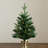 White 2' Pre-Lit Pine Christmas Tree