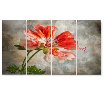Close Up Of Red Geranium - Geraniums Wall Art Decor 4 Piece