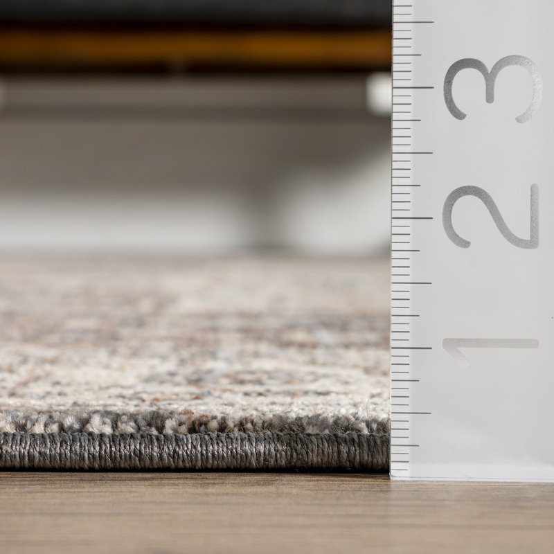 Harriet Vintage Medallion Fringe Area Rug, Rectangle 8' x 10'