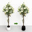 150 cm Lifelike Artificial Rose Tree – Realistic White Flowers, Thick Trunk, Decorative Faux Potted Topiary for Indoor/Outdoor Home & Office – Black Round Belly Pot-671618745