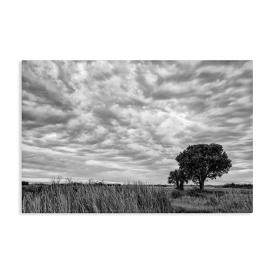 Toile solitaire sous les nuages, conception de Jon Evan