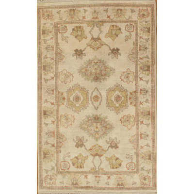 Oriental Area Rug in Ivory