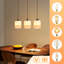 3 - Light Stainless Steel Caged Pendant