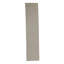 Area Rug in Beige