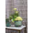 Alexionna Handmade Ceramic Pot Planter