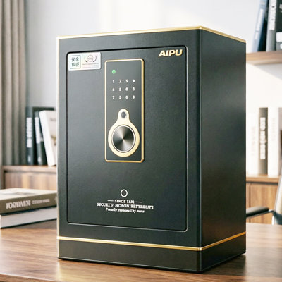 Armoire sécurisée avec empreintes digitales 15,35 po