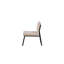 Ammon Velvet Side Chair