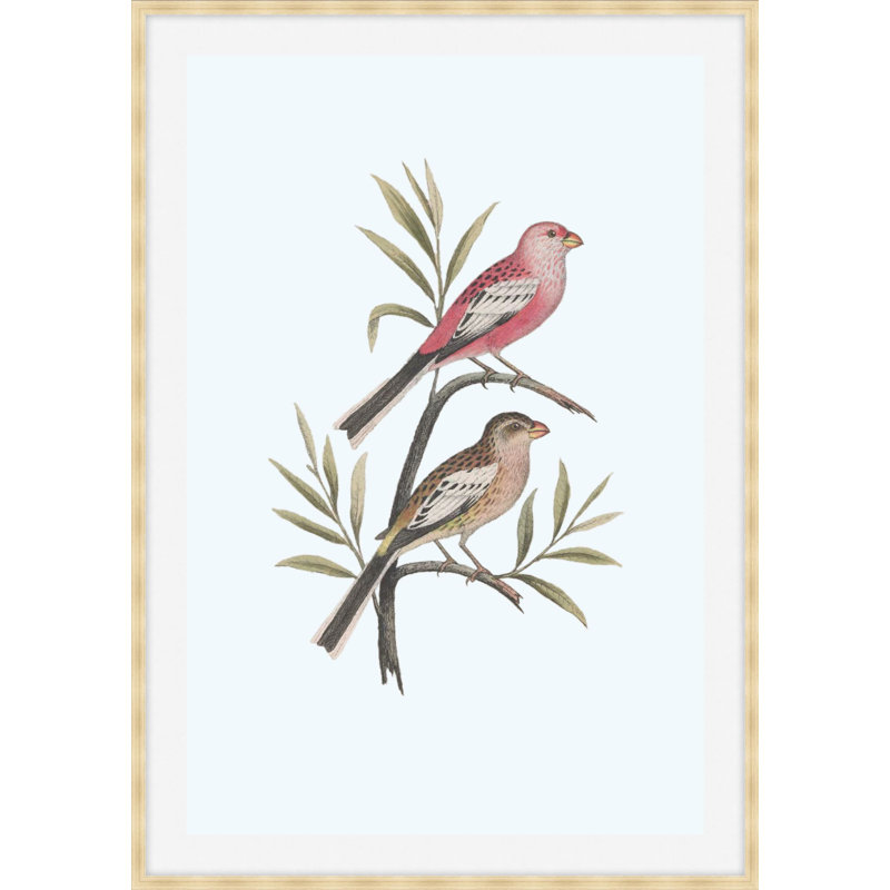 Nesting Navigators Blue 4 Print, 50.75" H x 35.75" W