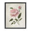 Cadre flottant Rosie Rose Flower Study, par Nan-837329975-837329968