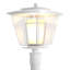 Beacon Transparent/Frosted Lantern Head