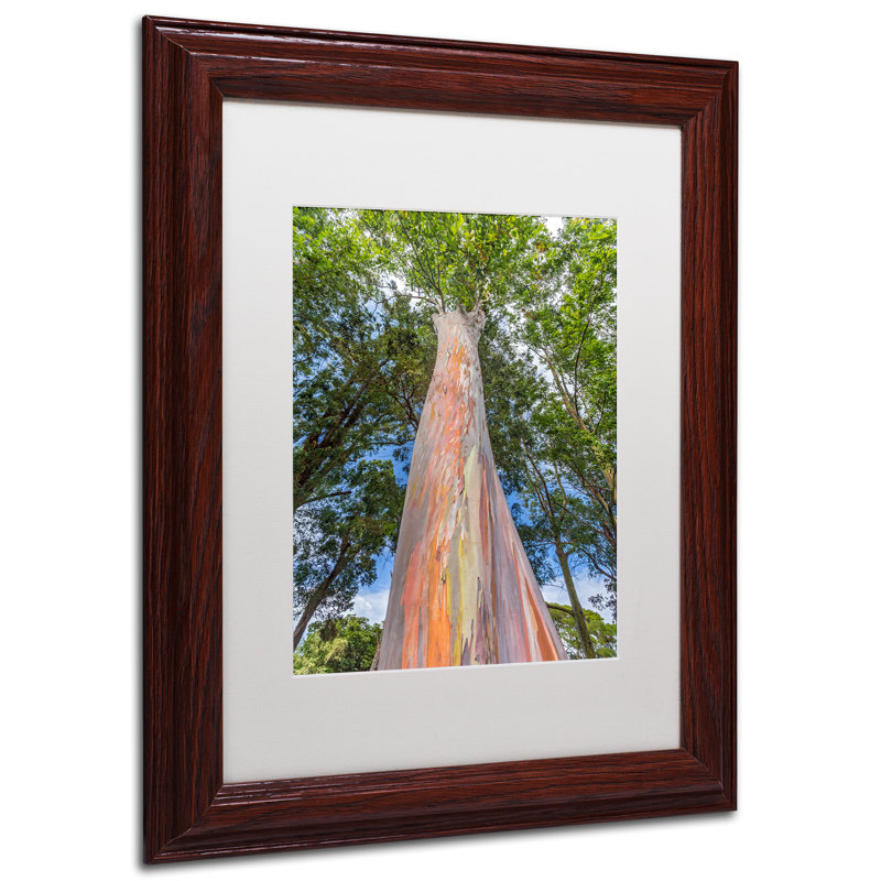 "Fabriqué", "Rainbow Tree" par Pierre Leclerc, reproduction de photo encadrée, H 20 po x l 16 po x P 0,5 po
