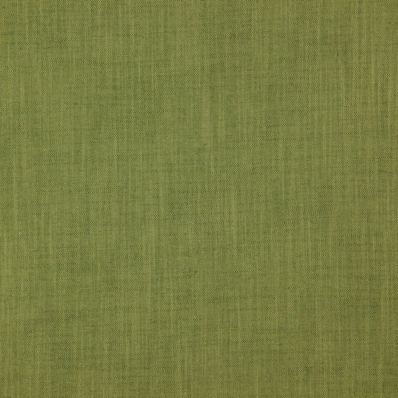 Tissu Strata, Tortue
