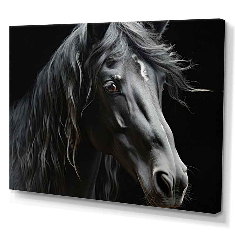 Black White Horse Portrait - Animals Canvas Prints, Toile tendue, H 34 po x l 44 po x P 1,5 po