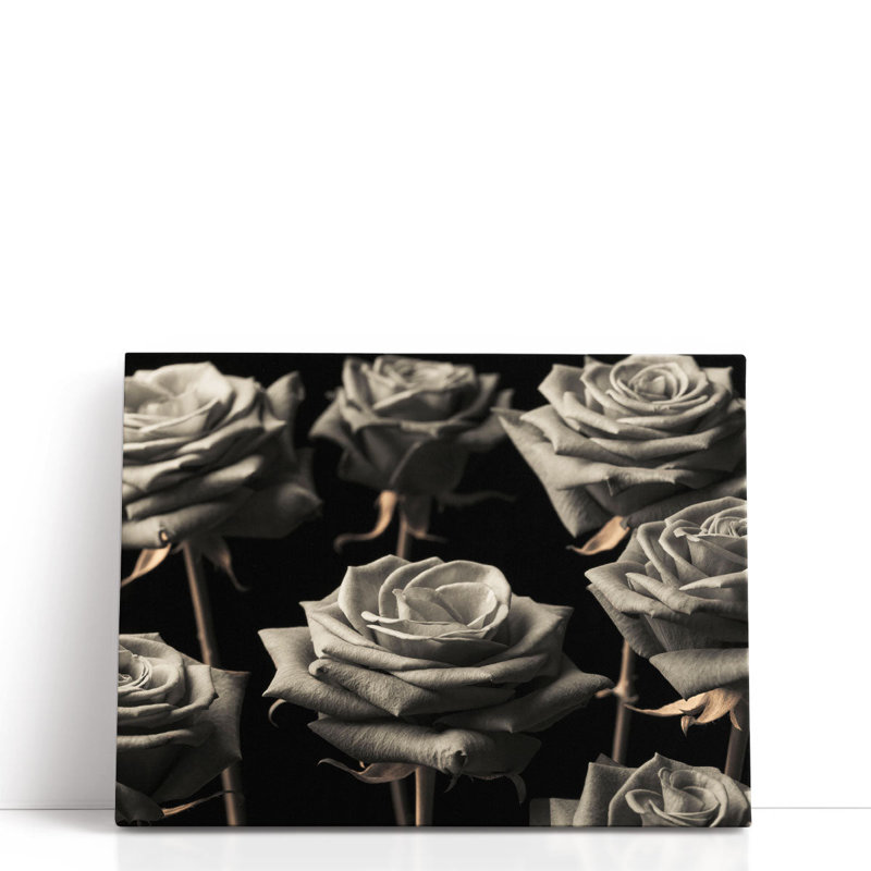 Sépia roses sur fond noir - reproduction d'art sur toile, H 30 po x l 40 po