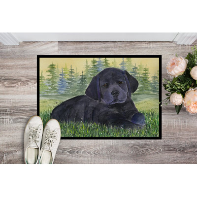 Non-Slip Indoor Doormat