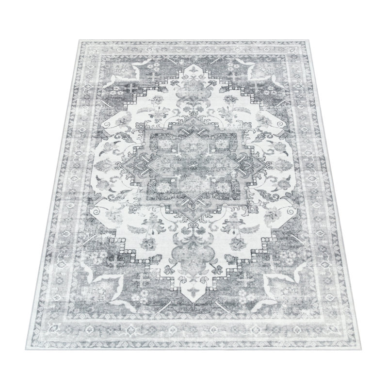 Berklie Oriental Area Rug, Rectangular 60 x 100cm