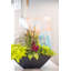 Pot à fleurs 20 po Mayne Evolve-1173114617