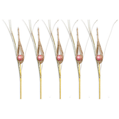 Feather Pick